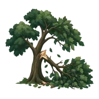 Storm damaged tree illustration