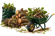 Tree debris management illustration