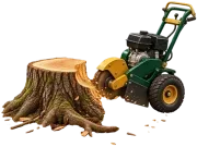 Stump grinding illustration