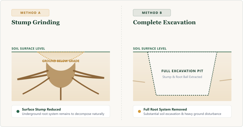 Technical comparison between stump grinding and complete root excavation